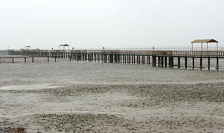 RTS新作《克苏鲁守护者》新预告 赞美克苏鲁！